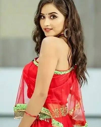 Call Girl Service in Ahwa
